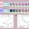 Thumbnail of related posts 039
