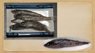 Thumbnail of post image 053