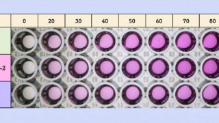 Thumbnail of post image 190